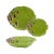 2020s Bordallo Pinheiro Artichoke Set with Pasta Bowls, Green, 12 Pieces For Sale - Image 5 of 5
