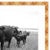 Rustic 21st Century Nowata Oklahoma Cattle Ranch Print in Black and White For Sale - Image 3 of 5