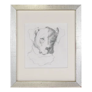 Vintage Pencil Dog Portrait Drawing 20th Century