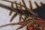 Mid-Century Modern Vintage Hand Carved Sgraffito Wood Hermit Crab Wallhanging For Sale - Image 3 of 9