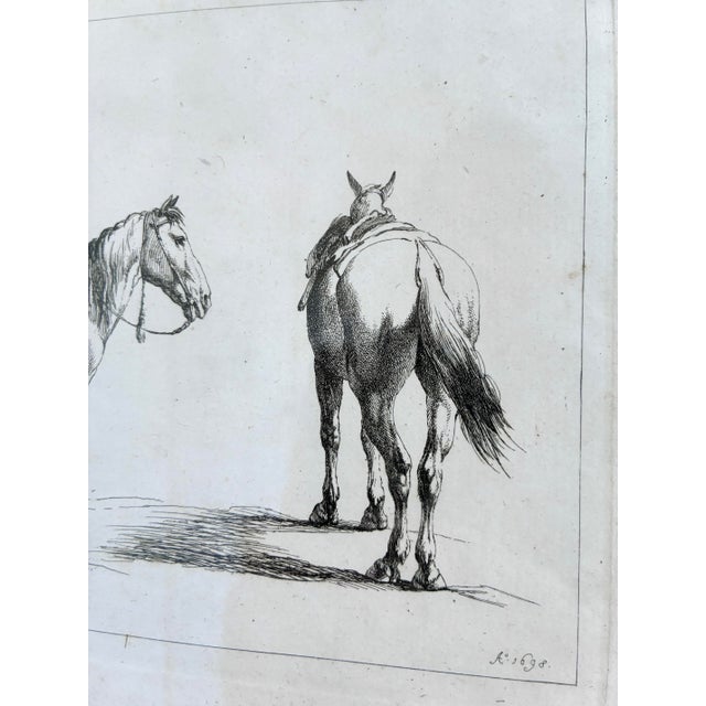 Antique Original Horse Etchings, Circa 1700: Framed Equestrian Prints - a Pair For Sale - Image 9 of 15