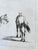 Antique Original Horse Etchings, Circa 1700: Framed Equestrian Prints - a Pair For Sale - Image 9 of 15