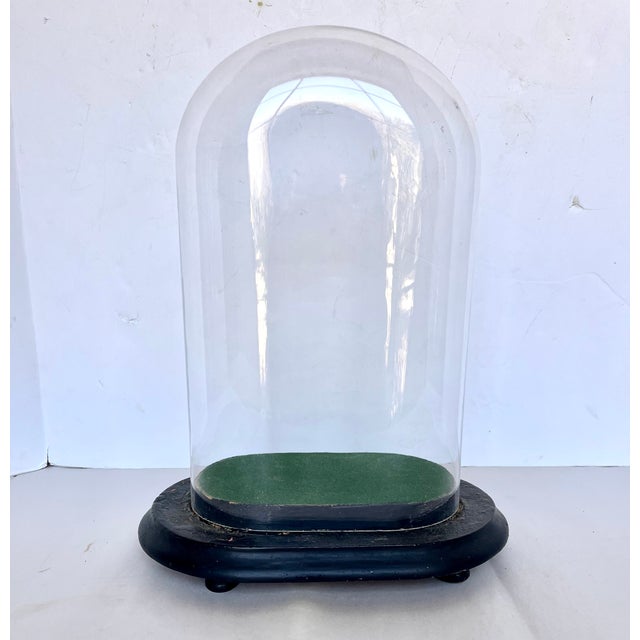 Imported from France. Clear glass cloche on hand crafted oval footed base. Amazing patina. Perfect to display old books or...