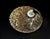 Pair Ammonite Plates Natural Fossil 4.5" For Sale - Image 12 of 15