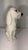 Ceramic Vintage Italian Mid-Century Modern Glazed Ceramic Cocker Spaniel Dog Figurine For Sale - Image 7 of 12