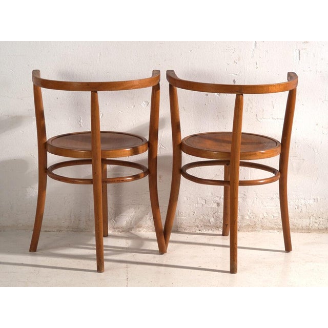 Brown Bentwood Chairs in the style of Thonet, Hungary, 1960, Set of 2 For Sale - Image 8 of 13