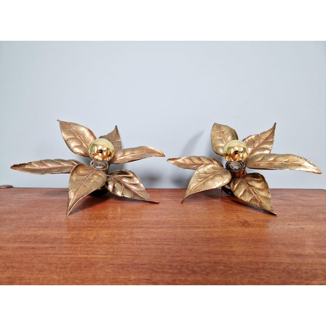 Floral Brass Wall Sconces by Willy Daro for Massive, 1970, Set of 2 For Sale - Image 9 of 14