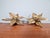 Floral Brass Wall Sconces by Willy Daro for Massive, 1970, Set of 2 For Sale - Image 9 of 14