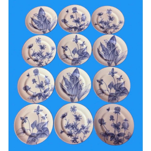 1990s Tiffany & Co. Botanical Plates Collection Circa 1990s - Set of 12 For Sale - Image 5 of 11