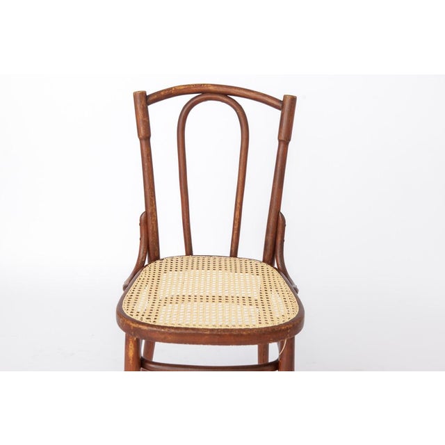 Antique Bentwood Chair in the Style of Thonet No. 56 | Austria, 1930s Elegant antique bentwood chair in the style of the...