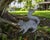 Vintage Cast Iron Lifelike Squirrel Garden Statue For Sale - Image 11 of 12