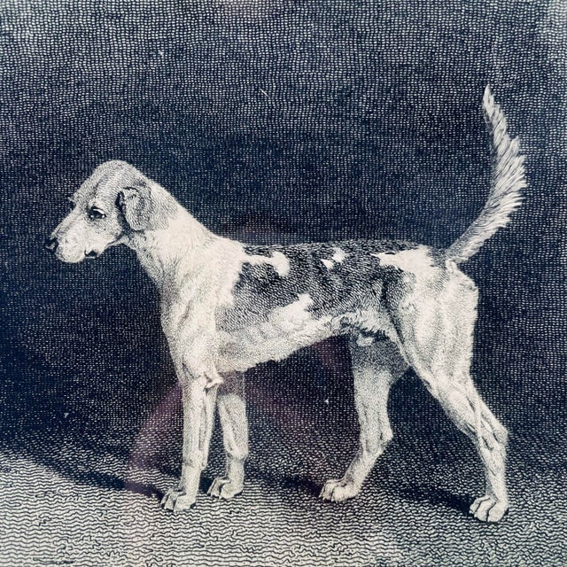 Vintage-style decoupage tray by John Derian Company featuring a classic black and white engraving of a dog titled Minos....