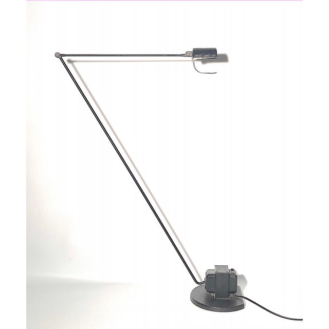 Daphine Terra Lamp by Tommaso Cimini for Lumina, 1970s For Sale - Image 4 of 18