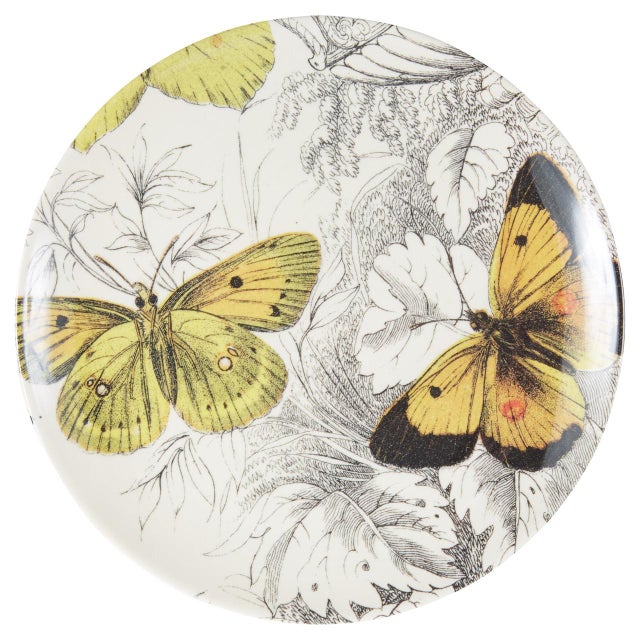 Illustration Specimen Butterfly Side Plates, Set of 4 For Sale - Image 3 of 7