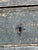 19th Century Italian Painted Neoclassical Commode / Chest of Drawers For Sale - Image 9 of 16