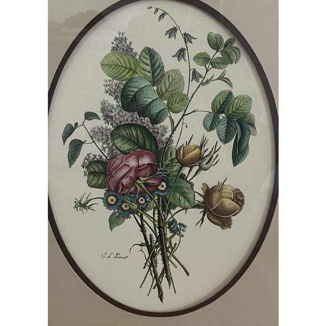 From Paris, France artist JL Prevost, Collection Des Fleurs Et Des Fruits. This pretty Botanical piece of artwork will add...