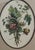 From Paris, France artist JL Prevost, Collection Des Fleurs Et Des Fruits. This pretty Botanical piece of artwork will add...