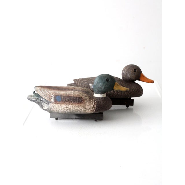 This is a pair of vintage Flambeau mallard duck decoy. The American crafted mallard hen and drake decoys are cast plastic...