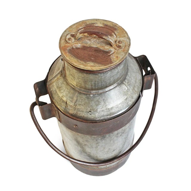 Vintage iron milk can from India. Crafted from strong industrial hand crafted iron and galvanized steel. Characteristic...