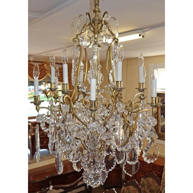 Late 19th Century French Louis XV Style Brass & Crystal 12 Light Cage Chandelier For Sale - Image 18 of 18