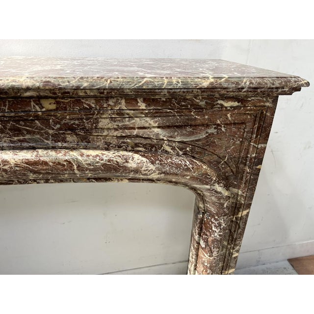 Louis XIV Style Fireplace in Speckled Red Marble, 19th Century For Sale - Image 10 of 16