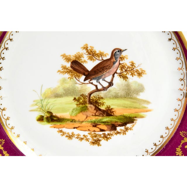 An entirely hand enamel painted and gilded cabinet plate manufactured by Marc Schoelcher (active 1798–1834) in Paris,...