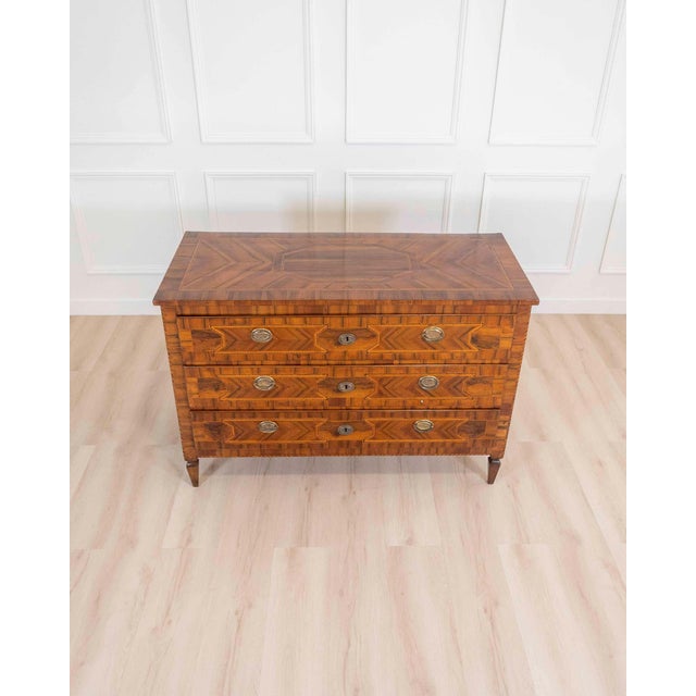 Brown Modenese 18th-century Louis XVI walnut chest of drawers with various woods For Sale - Image 8 of 9