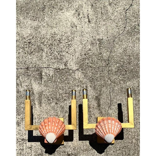 Vintage Shell and Metal Wall Sconces - a Pair For Sale - Image 10 of 12