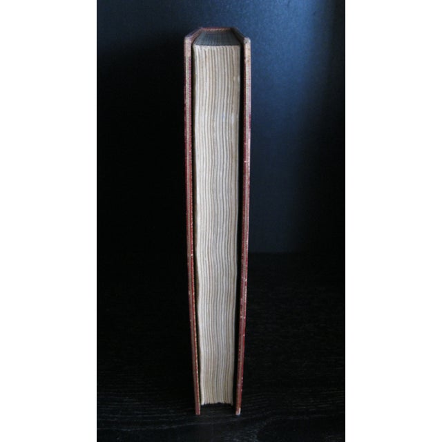 Animal Skin The Tour of Doctor Syntax by William Combe For Sale - Image 7 of 10