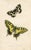 Late 19th Century 1870s, Antique Butterfly Prints, Set of 6, Original Antique Engravings, Hand Colored, England For Sale - Image 5 of 7