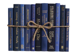 Decorative Books - Denim & Gold Book Bundle - 1 Foot of Blue Books