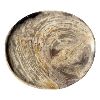 Petrified Wood Trinket Tray, 1980s For Sale
