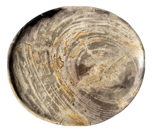 Petrified Wood Trinket Tray, 1980s