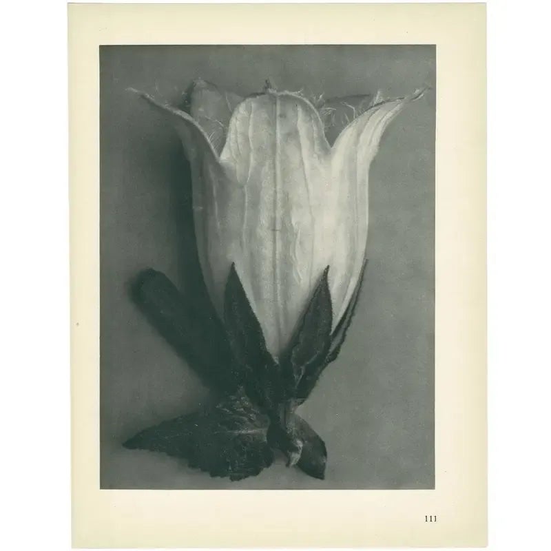 1928-bell-flower-original-