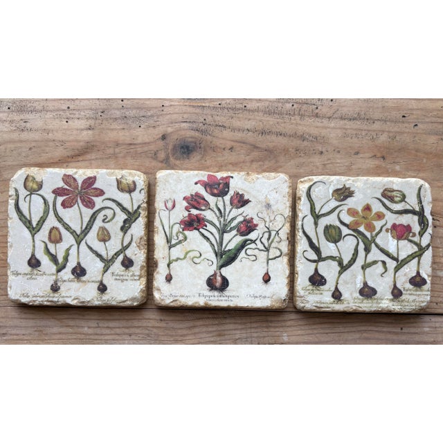 Beautiful set of three decorative travertine stone coasters featuring vintage botanical tulip illustrations inspired by...