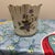 Cream Vintage Floral Porcelain Vase With Scalloped Gilt Rim For Sale - Image 8 of 8