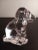 Figurative Clear Art Crystal Snoopy Dog Figurine For Sale - Image 3 of 8