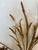 Vintage Gilded Tole Candle Sconces For Sale - Image 4 of 8