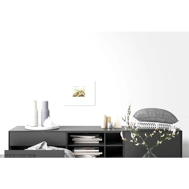 Contemporary "Floral Patterns" Contemporary Realist Still Life Etching by Rick Loudermilk For Sale - Image 3 of 7