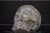 Death Re-Loaded Decorative Object by Davide Medri For Sale - Image 4 of 6