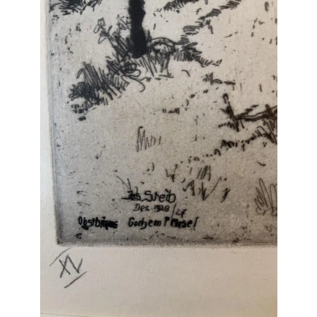 Etching by the artist Josef Steib from 1926. The etching shows the landscape with fruit trees in Cochem. Dimensions...