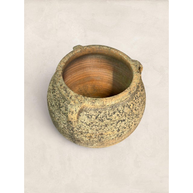 Late 19th Century Late 19th Century X Large (32" H) Pair of Antique Greek Terracotta Olive Jars With Weathered Patina For Sale - Image 5 of 14