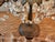 Exquisite Pair of Vintage Crystal Girandole Candelabra 5 Light Mantel Garnitures For Sale - Image 17 of 18