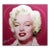 Steve Kaufman "Marilyn Monroe" Serigraph on Canvas Hand Signed# Pink Canvas For Sale