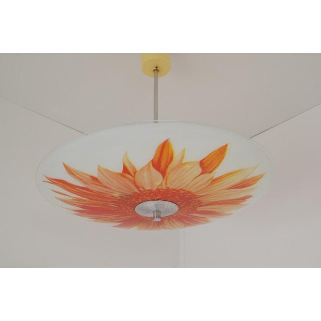 Mid-Century Glass Pendant, 1960s For Sale - Image 13 of 14