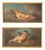 Venetian School Artist, Cherubs, Late 18th Century, Oil on Canvases, Framed, Set of 2 For Sale