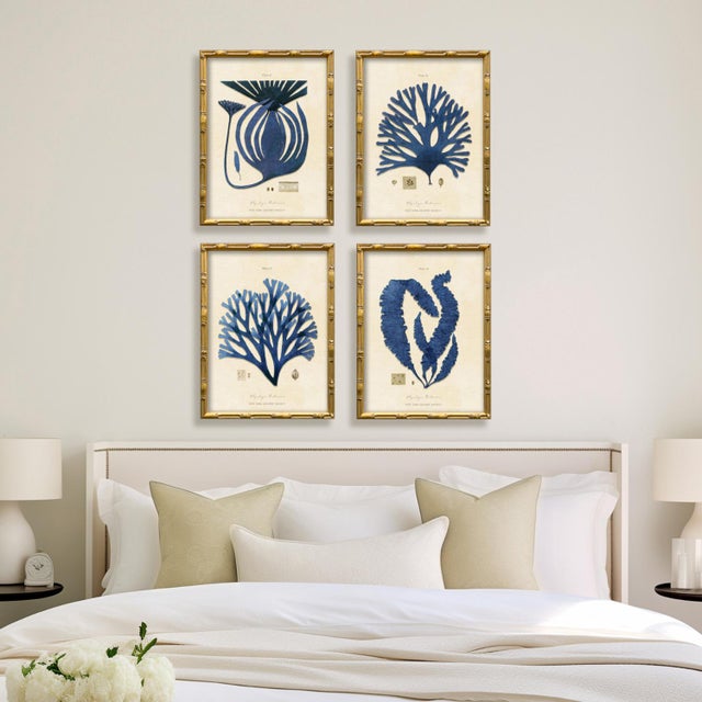 2020s Vintage Blue Seaweed Art Print Reproduction (3), Framed For Sale - Image 5 of 5