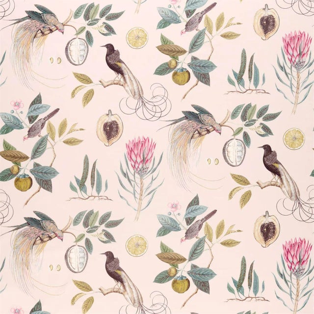 Sanderson Paradesia Fabric in Orchid/Grey - a Sample For Sale