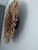 Juju hat beige of 24" (60 cm). Juju hat made with natural feathers and rattan. Juju hat woven and handcrafted. Beautiful...