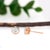 2020s Bezel Setting Lab-Grown Diamond Solitaire Studs in Solid 14k Rose Gold | Rd 5mm For Sale - Image 5 of 7